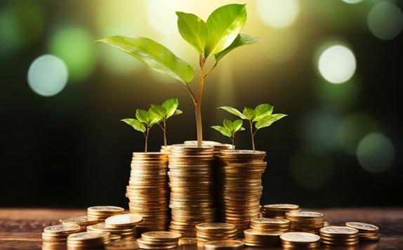 泰康长寿人生A款年金保险（分红型） 养老规划的双重保障与价值解析